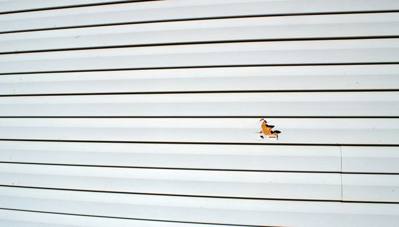 Seam and Sealant Expertise